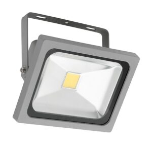 LED Prožektor 10W