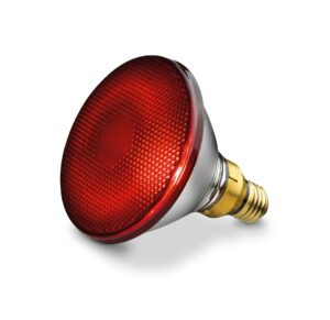 Soojenduslamp 100W PAR38 Helios Punane